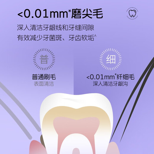 Shuke + Charcoal Wire Toothbrush Soft Brush Adult Soft Gum Protection Couple Ultra-fine Super Soft Men and Women Special Home Apparel [1 Board] Shuke Charcoal Wire Toothbrush 2