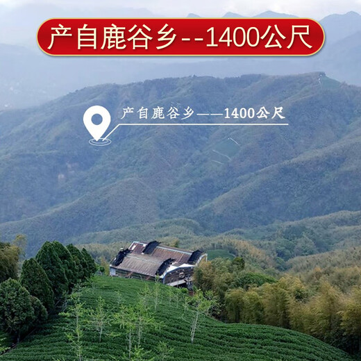 Junshang Frozen Oolong Tea Taiwan Gaoshan Té de té nuevo té Taiwán Yuanwan Cervecer fría Importada Bebida de té Oolong Frozen Tise 150g*2 latas [Originales importados] Oolong Golong Medal Competition Serie de té 300G