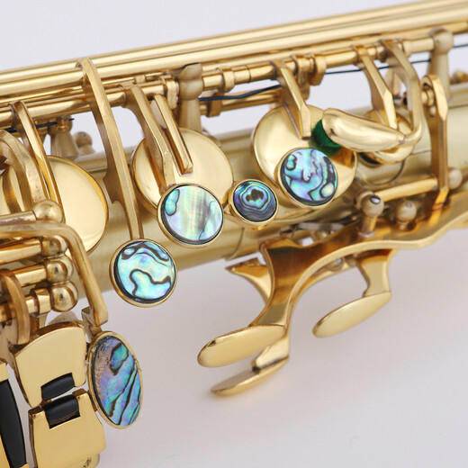 
Bullfighter Saxophone instruments mid-E flat double-string band professional performance universal grade exam
