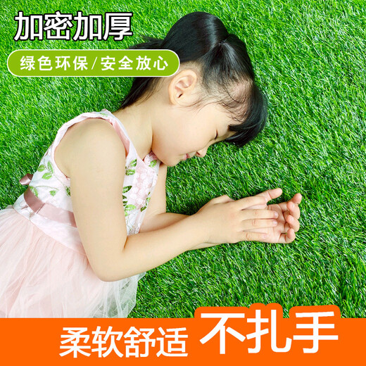 Kaosen Green Carpet Outdoor Terrace Simulated Lawn Roof Sunscreen Insulation Artificial False Turf Enclosure Project Toddler 2cm Green Bottom Encrypted Model