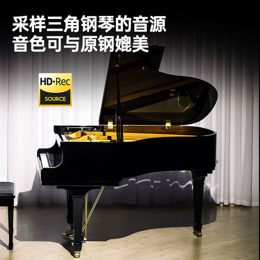 Terence Hand-rolled Piano 88 Key Professional Edition Folding Portable Electronic Keyboard Instrument