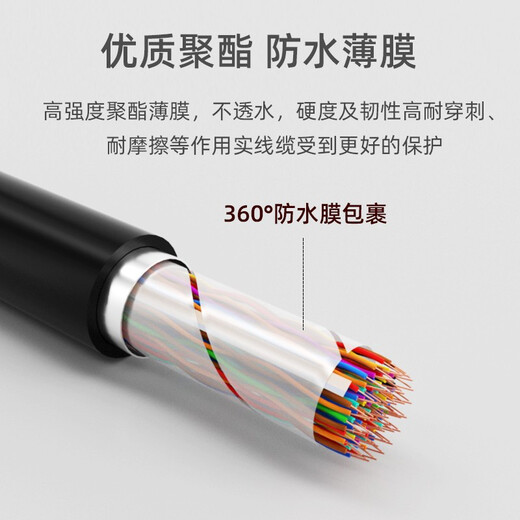 Lu Chengxun 5 pairs 10 pairs 20 pairs 50 pairs 100 pairs large logarithmic communication cable HYA twisted pair cable outdoor communication category 3 telephone line pure copper voice communication outdoor 30*2*0.5 copper core twisted pair 1 meter