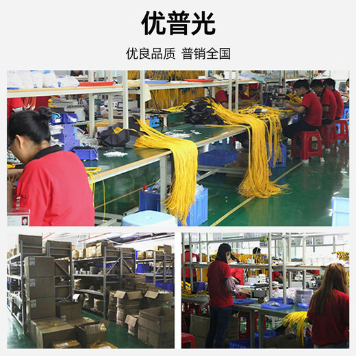 
Youpuguang Telecom-grade outdoor field fiber jumper Single-mode four-core lc-sc-fc-st optical cable branch armored outdoor base station communication waterproof sun protection tail cable Field single-mode four-core LC-SC 20 meters