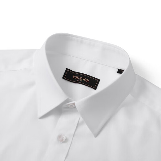 YOUNGOR 25 new solid color DP no-iron shirt cotton anti-wrinkle easy care long-sleeved shirt for men white 41