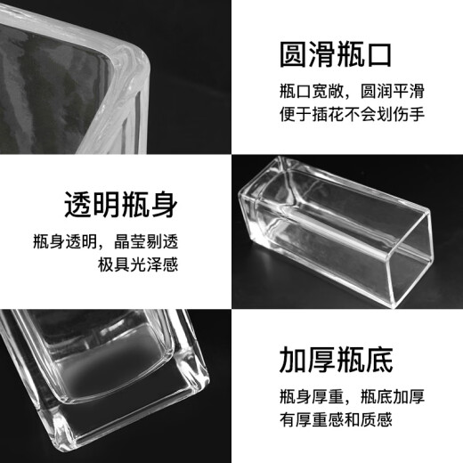 Cuttlefish glass square cylinder vase rose lily Nordic simple living room coffee table home restaurant decorative flower ornaments 2876
