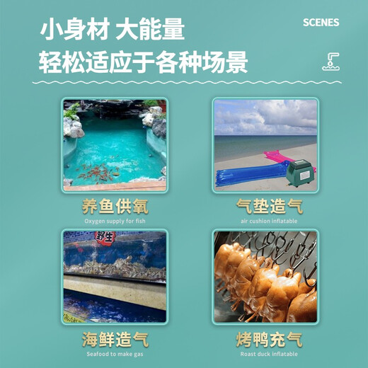 海利鱼池增氧泵大功率氧气泵 户外鱼塘家用鱼缸增氧机 超静音大气量 ACO-9720 20W 单泵