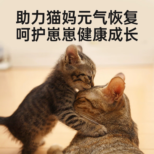 Wilson's Greedy Lactation Female Cat Pregnant Cat Pregnancy and Postpartum Special Breeding Cat Food Cat Mother Kitten Main Food Lactation Recovery Food 8% Freeze-Dried 2.5kg/5Jin Jin is equal to 0.5kg