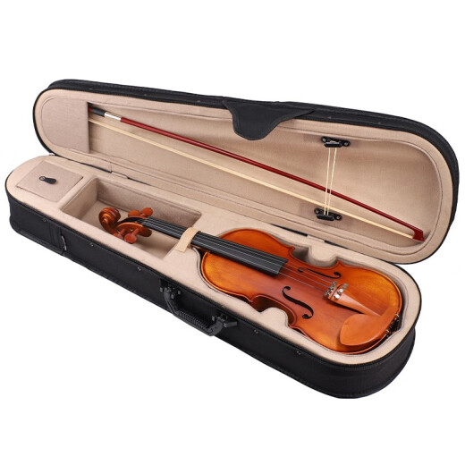 FINELEGENDO Violín hecho a mano Adulto Introductory Introductory Premio de examen de grado para 5 años Secado natural Panel de clase A Matte L4 1/4