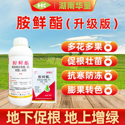 Acetate plant growth regulator pesticide prevents premature aging and enlarges fruit rhizomes flowers and fruit trees stress resistance 500 grams of acetate (upgraded version) * 1 bottle
