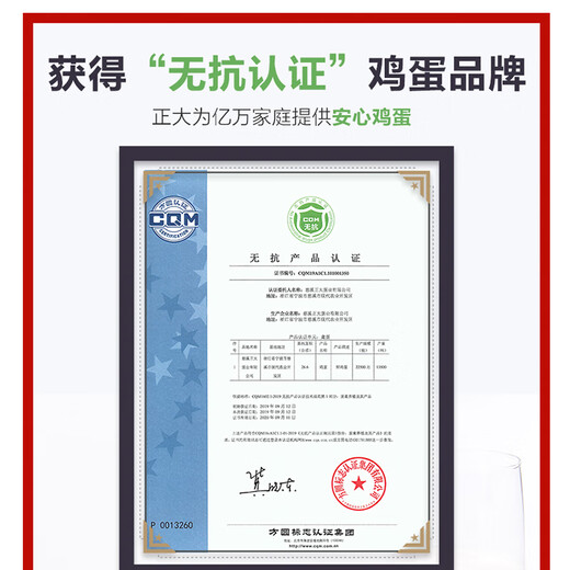 CP  正大 鲜鸡蛋 30枚 3.18斤 早餐食材 优质蛋白  礼盒装