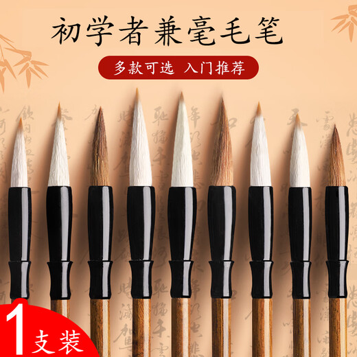 Recording of learning, medium-sized brush calligraphy special and calligraphy practice pen set for beginners, four treasures of the study, large and small regular script, medium and regular script, seal script, Chinese painting, primary school students, children and adults