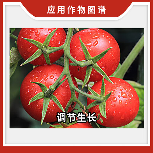 Yihebei Yihebei 1.8% Sodium Nitrophenolate Tomato Coloring Regulatory Growth Plant Growth Regulator Pesticide 100g
