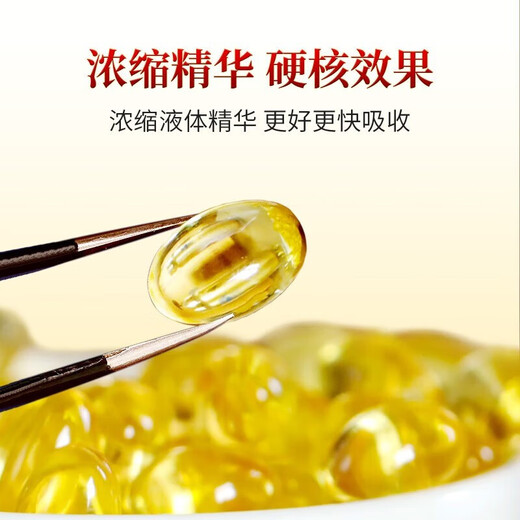 敖东灵芝孢子油软胶囊60粒增强免疫力适用于免疫力低下可搭孢子粉使用 1盒装