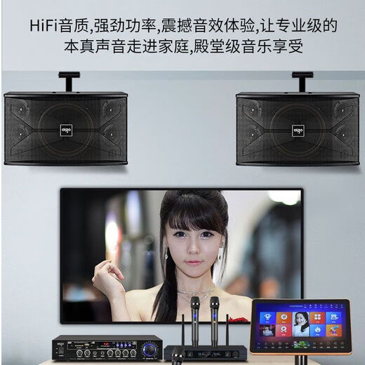 爱国者家庭KTV音响套装全套点歌机卡拉OK一体机家用专业K歌重低音 美声功放KTV全套+12寸双炮+投影 双十寸10单元音响