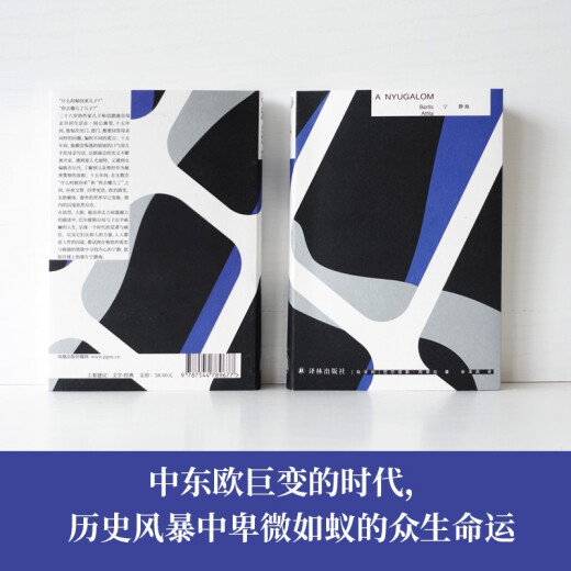 [Nouveau authentique] Ning Shihai («L'héritier du nom de Milan Kundera» œuvre représentative de Baltis Attila, comparable au lauréat du prix Nobel Jelinek <Piano Teacher>) [Hongrie] Baltis Attila 9787547 ** 677 Yilin Publishing House