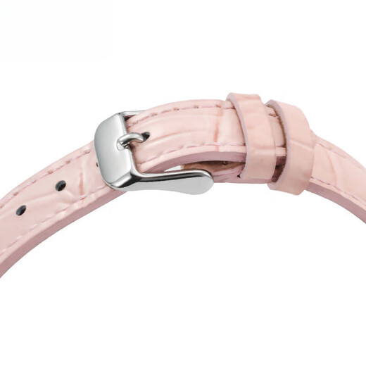 卡西欧（CASIO）手表女士SHEEN简约休闲时尚学生防水考试指针石英手表送女友礼物 LTP-1391L-4A粉色皮带
