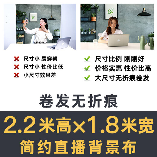 山头林村直播背布3d立体高清广旋高清简约新主直播背布3D立体北欧风 GX-9215加厚无纺布宽1.8*高2.2M