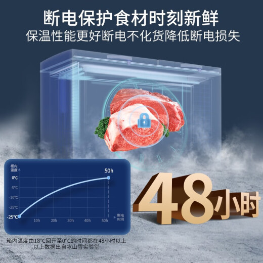 冰山雪冰柜商用家用卧式冷柜大容量冷冻展示柜商用冷冻柜大容量冷柜商用冷柜 688单温智控1.6米