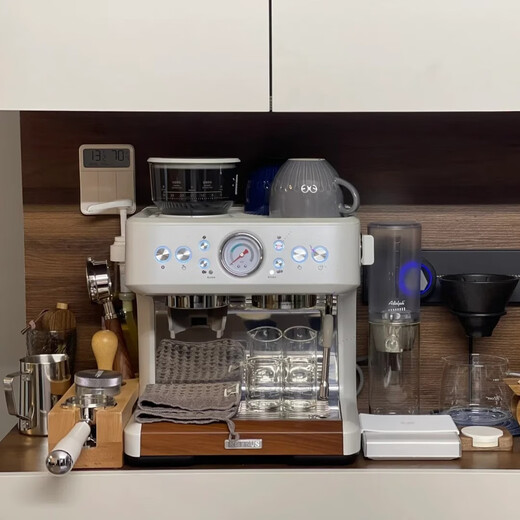Baicui PE3899 Máquina de café italiano Comercial Máquina de molienda semiautomática Máquina de espuma de leche pequeña Bomba dual Dual horno