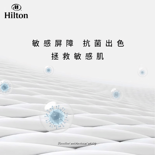 Kangerxin [Hilton Pillow] Antibakterielles Faserkissen, erwachsenes Haushaltsweichkissen, Fünf-Sterne-Hotelkissen Kern, weiße [Hilton-Geschenkbox] Hartes Kissen, Single, ein Paar, zwei