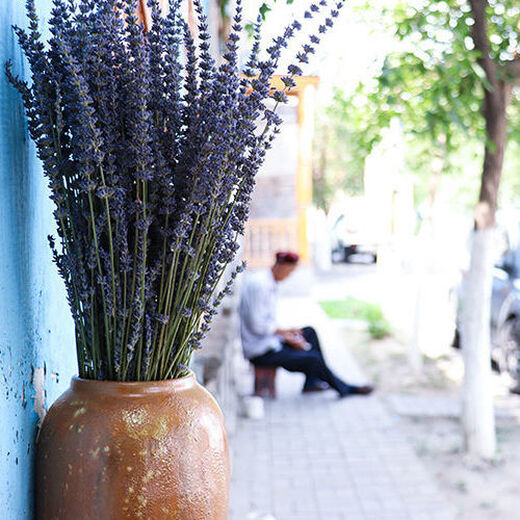 AIMAN dried lavender bouquet living room home decoration natural dried bouquet real flower aromatherapy internet celebrity flower arrangement ins gift 100g space blue dark blue new summer flowers all in English newspaper packaging