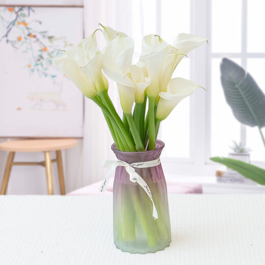 Calla lily, flowers for Buddha, home water-raised flower arrangement, Yunnan base, straight hair, super long flowering period, Chinese Valentine's Day gift, 10 calla lilies, 50-60CM