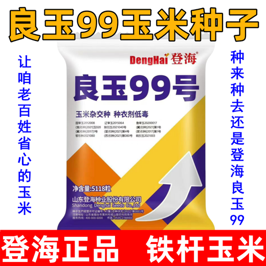 New species in stock original Liangyu 99 corn seeds disease-resistant and temperature-resistant Shandong Denghai Liangyu 99 hardcore corn big cob New species Denghai Liangyu 99 5118 grains x5 bags