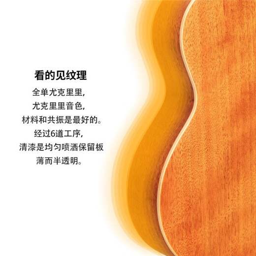 Aodsk Auc-F19 Ukulele joue une guitare en bois de base en acajou en acajou complet de 23 pouces