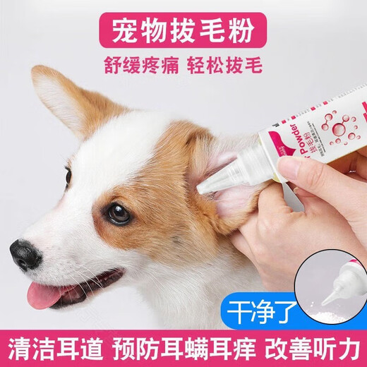 OEMG pet ear hair plucking powder painlessly cleans earwax dog Bichon Teddy ear ear mite hair plucking powder ear cleaning powder ear hair powder + pet hair plucking pliers + cotton swabs