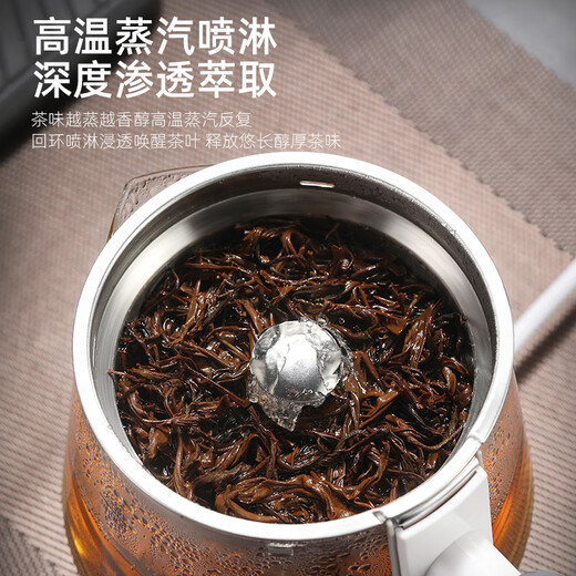 Biooner tea kettle, spray type tea kettle, steam type black tea kettle, office home kettle, mini health pot flower tea kettle, white (upgraded with insulation) 0.8L