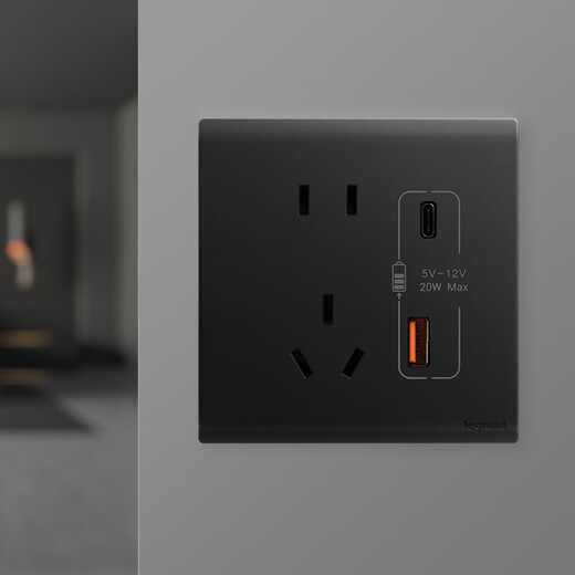 罗格朗（LEGRAND）开关插座面板简悦石墨黑五孔二三插墙壁家用电源86型多孔暗装插座 Type A+C USB充电插座 20W