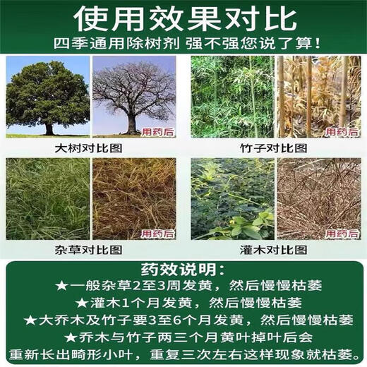 Bamboo-killing medicine for killing bamboo root and root rot. Powerful to kill bamboo king. Bamboo-killing medicine. Bamboo root and root rot powder. Three barrels. Buy two and get one free. Easy-to-use medicine for killing bamboo root.