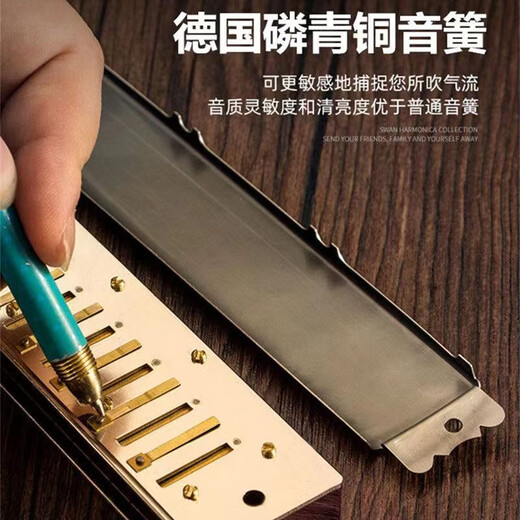 Swan German imported cherry swan 28-hole polyphonic harmonica wide range high-end adult accent quasi-professional performance gifts Athens black 28-hole polyphonic C-tone + full set of gifts