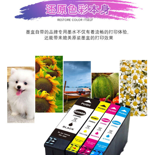 Quansheng eignet sich für EPSON T05N Tintenpatron