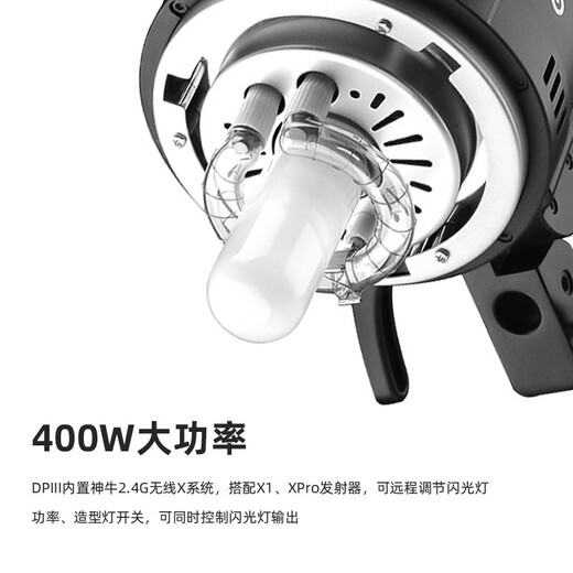 Godox (Godox) Godox DP400III third generation flash studio photography set indoor portrait still life shooting fill light commercial studio lighting DP400III single light set (octagonal soft box) Nikon version