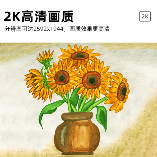 汇博士 自动对焦摄像头 远程教学直播微课录制课堂演示 高清笔记本台式电脑摄像机高拍仪 X20悬臂支架款