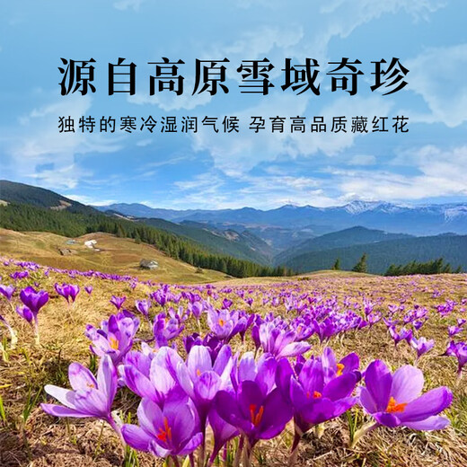 Kangyuan Tibetan Grassland Ksafron seleccionó Regalos de calidad para padres para el uso de tibetano Tonic Bebida de té Caja de regalo 6G Regalo del Día del Padre