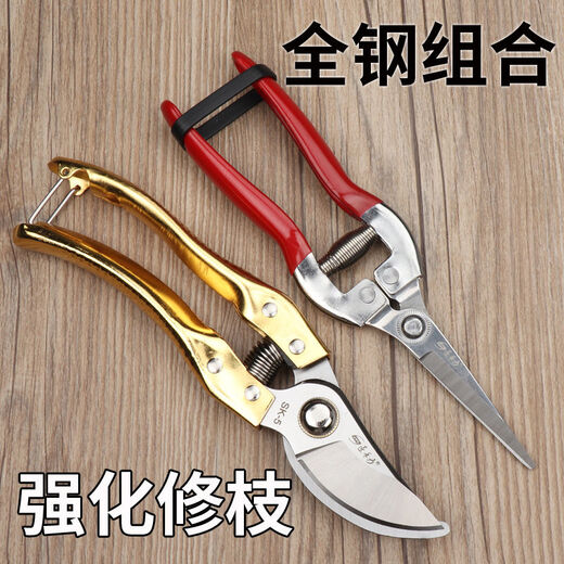 修枝剪子葡萄摘果剪 园林果树剪刀粗枝花剪 省力树枝修剪花的剪刀 H德14116高端直摘剪