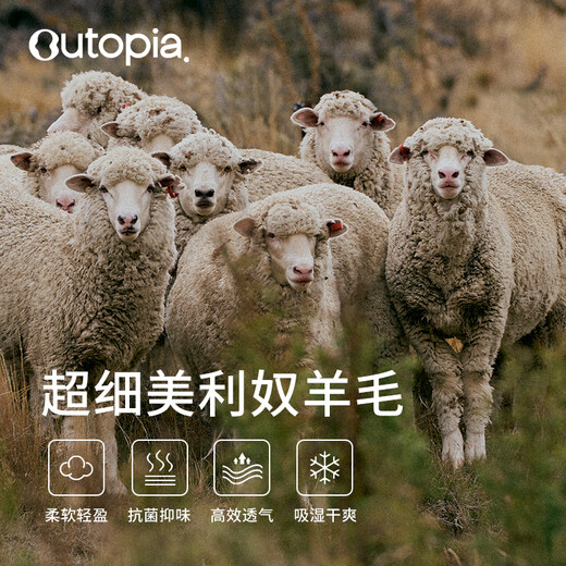 OUTOPIA Wonderland Miracle Wool Merino Mercerized Breathable Quick-Drying Outdoor Cross-Country Hiking Women's Long Sleeve Grape Purple ZQ Quick-Drying Version M