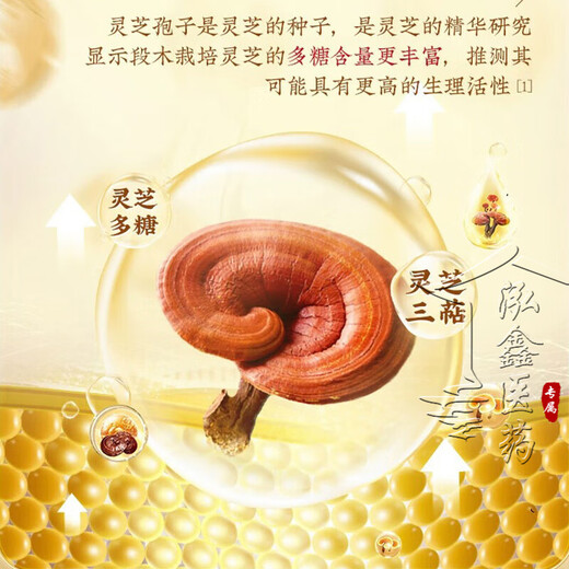 Peking Tongrentang Ganoderma lucidum spore pulver gebrochener wand ganoderma lucidum spore pulver spore puder verstärkt die immunität postoperative nahrungsprodukte für erwachsene, mittlere und ältere Menschen 3 kisten [2 kisten mit Preis
