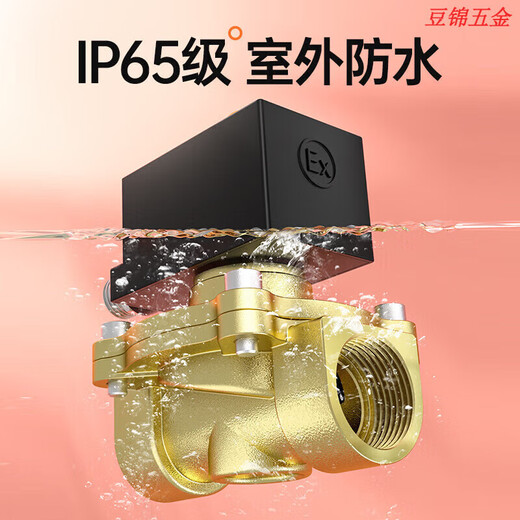 Explosion-proof solenoid valves, gas mine water valves, gas valves, control pipelines normally closed dn15 25 5012v220v24v Explosion-proof DN10 3 points AC220V Delivery with protection