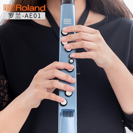 Xianhuaida Authentische japanische Marke Roland AE-01 Electric Hair Tube Old Man Elektrische Saxophon Elektronische Instrument Erhu AE0 Roland AE-01c Nationaler Version (Paket sechs)