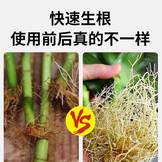 50% indolebutyric acid, indolenaphthalene acetic acid, high concentration rooting agent, rooting powder for seedlings, transplanting and cuttings to promote rooting. 30 bags (1g/bag) can be stored for 2 years without opening.