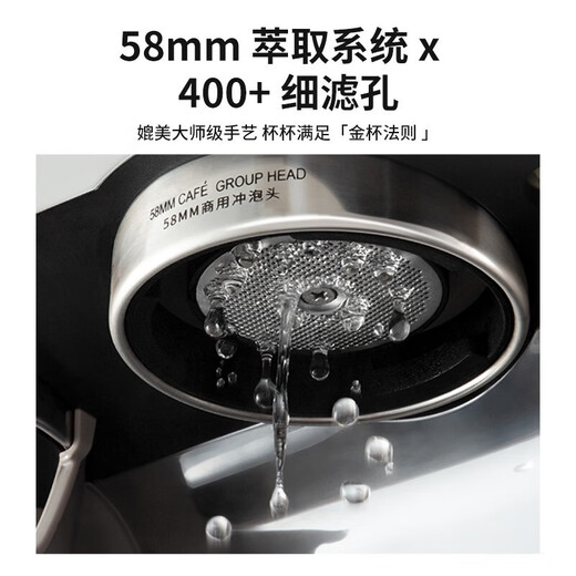 柏翠（petrus）意式咖啡机家商用全半自动研磨一体机小型浓缩奶泡机双泵双炉 PE3899 节日礼物 PE3899咖啡机+制冰机套装