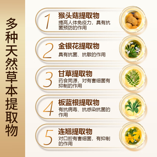因宁口腔抑菌膏清新口腔专注口腔护理口腔膏120g认准因宁品牌 2支装【送1张测试纸】