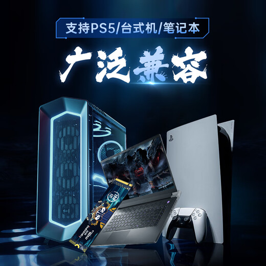 梵想（FANXIANG）4TB SSD固态硬盘 M.2接口NVMe协议PCIe4.0x4 PS5台式机笔记本电脑扩展硬盘 PC存储配件 S790E