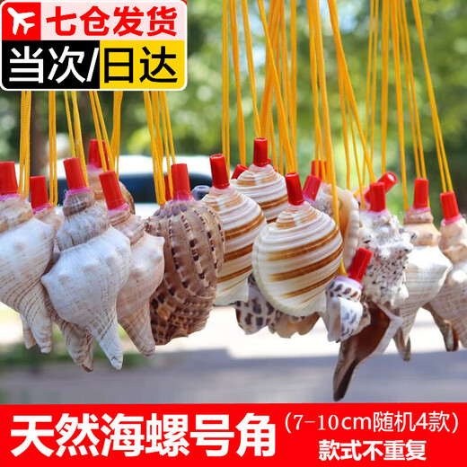Aseblarm [4] Natural conch horn can blow trumpet Children's toys Conch shell crafts shell whistle Conch horn (4 random models) 5-10 cm