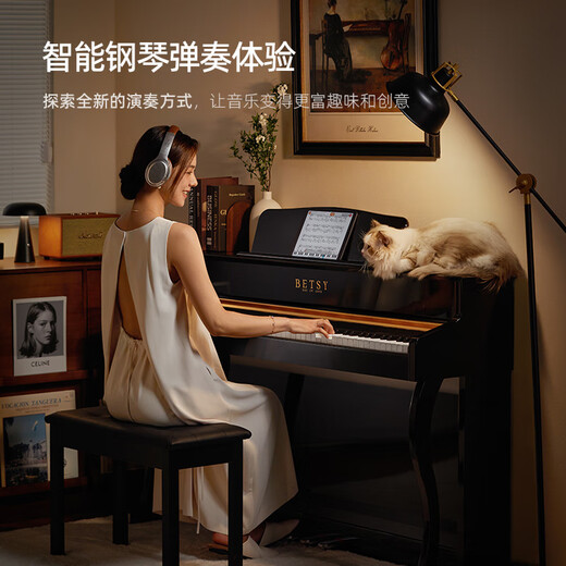 贝琪（Betsy）B321立式电钢琴重锤88键实木琴键成人家用练习专业初学者电子钢琴 演奏级-B321音响款-烤漆黑