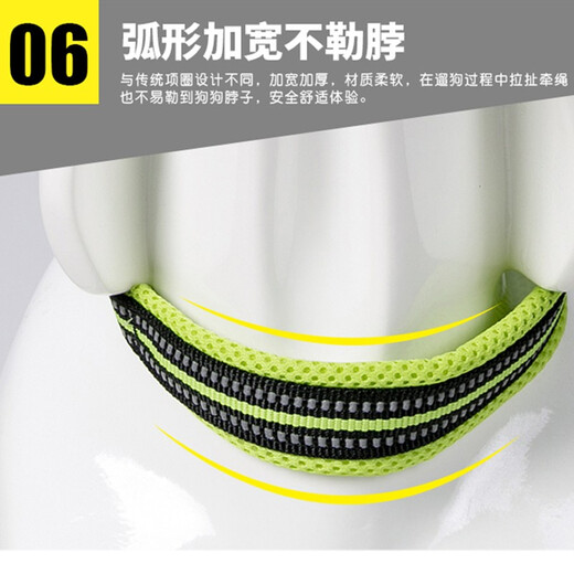 TRUELOVE Dog Collar Dog Collar Puppy Reflective Collar Large Dog Collar Anti-Strangle Comfort Medium Teddy Pet Supplies Orange 2XS