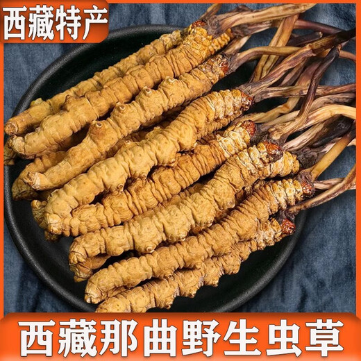 Naqu прямые волосы подлинные дикие тибетские высоко высокие кордицепсы sinensis select